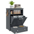 Pet Feeding Station With Raised Bowls Storage Cabinet And Hook For Dogs And Cats, Grey