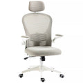 Image of a grey ergonomic desk chair