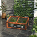 Wooden Cold Frame Greenhouse Brown