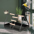 Bird Training Playground with Wood Perch Pawhut