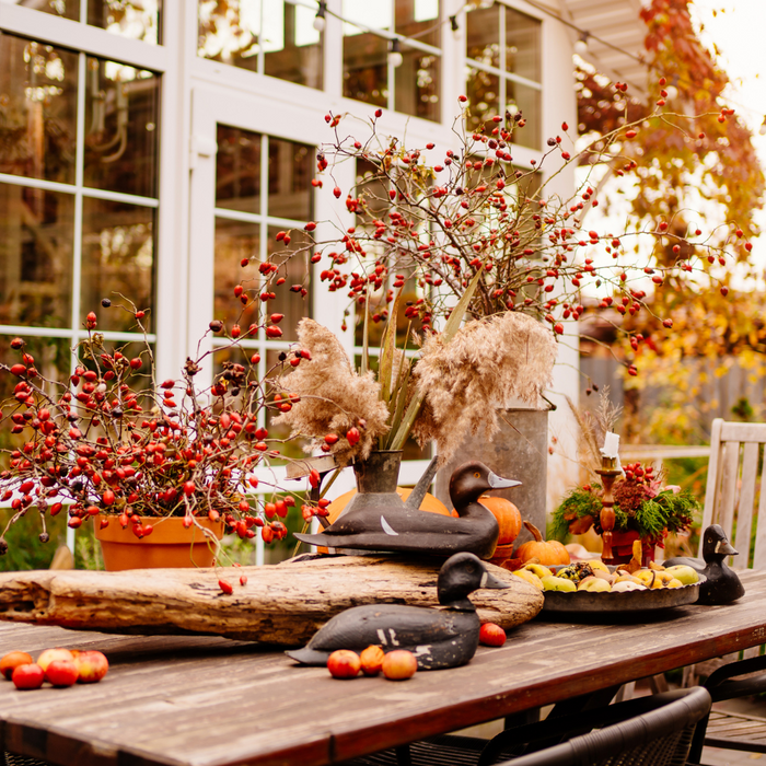 Inspire Your Garden with Seasonal Decorating Ideas