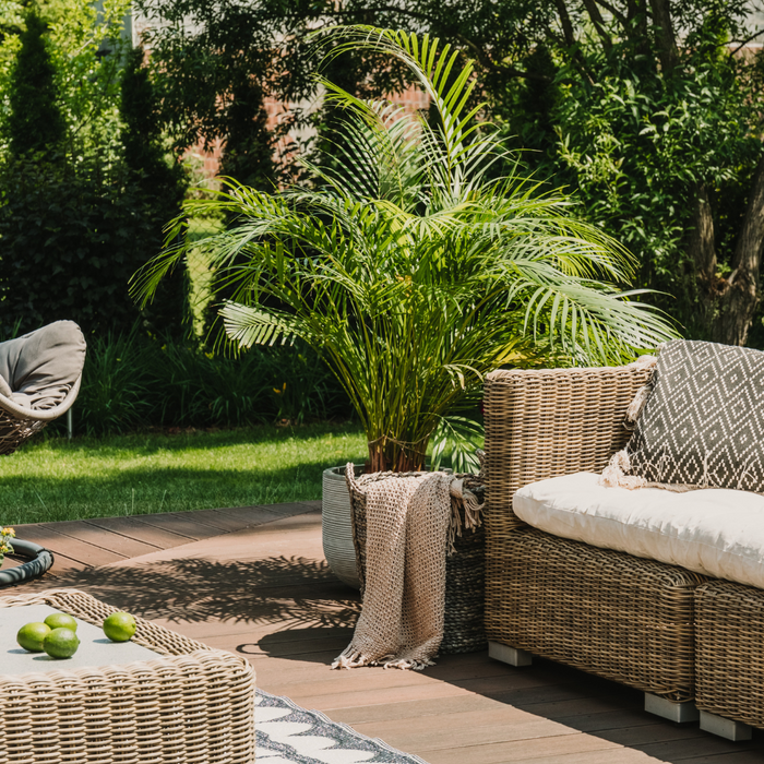 Modern designed terrace with rattan patio furniture and plants