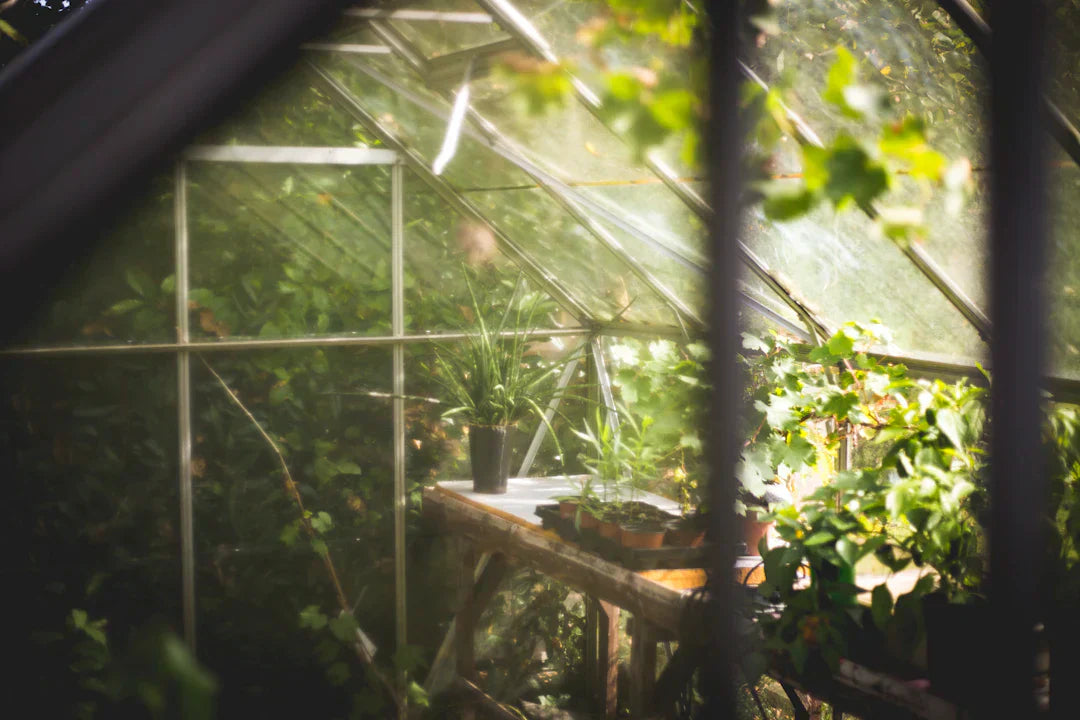 The Importance of Weather-Resistant Garden Furniture