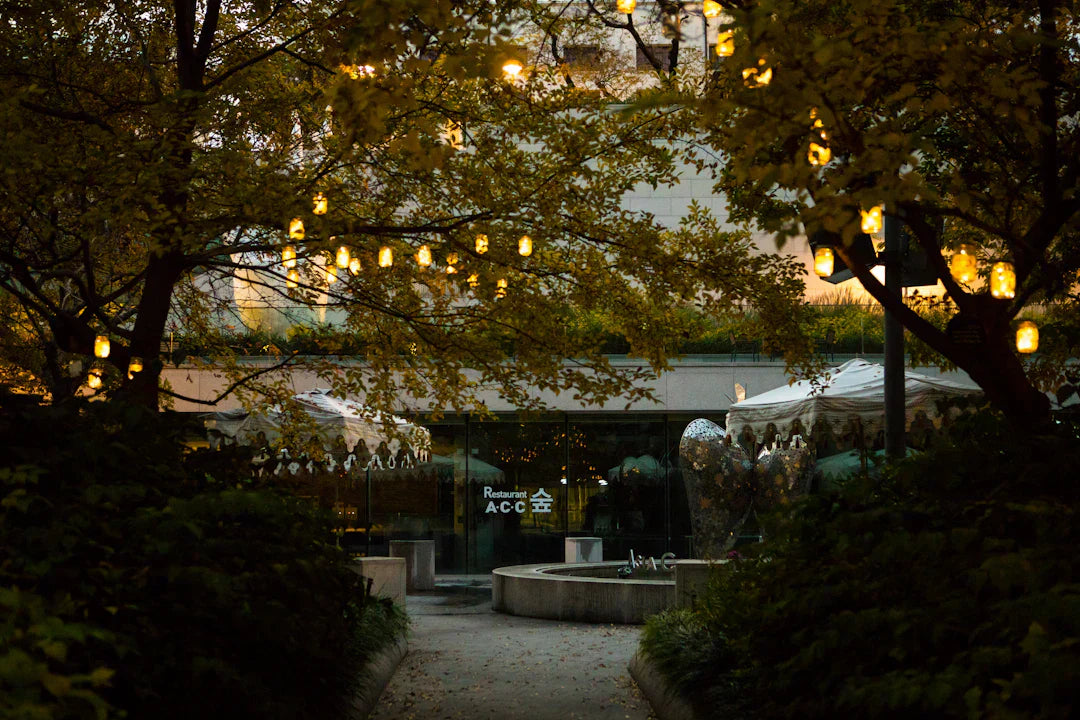 Bright Ideas Transform Your Garden with Lighting