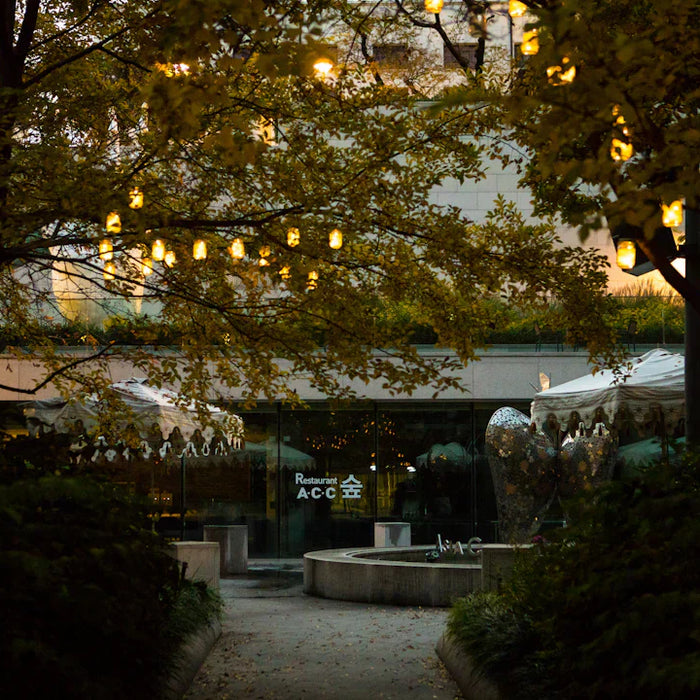 Bright Ideas Transform Your Garden with Lighting