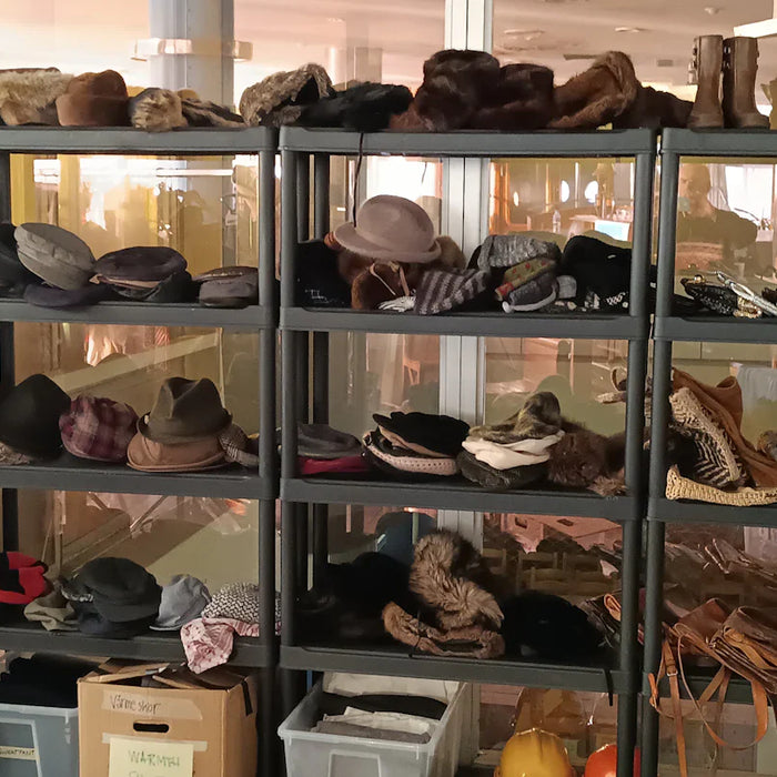 The Importance of Efficient Shoe Storage