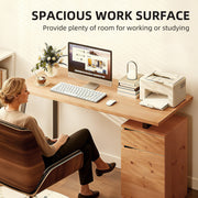 Computer Desk with Drawer and Cabinet for Home Office Study Workstation, Natural Wood Finish