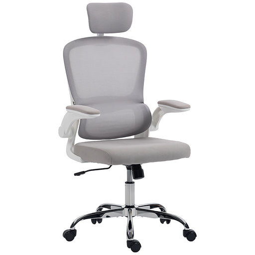 Ergonomic Mesh Back Office Chair With Lumbar Support For All Day Comfort, Grey