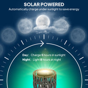 Solar Garden Floor Lamp with Hand Woven Rattan Shade for Outdoor Lighting Black Grey Outsunny