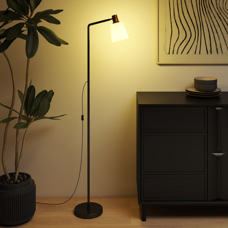 Modern Floor Lamp with Rotatable Head and Adjustable Colour Temperatures for Home, Black AOSOM