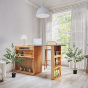 Set of 2 Artificial Olive Trees with 450 Leaves for Indoor Home or Office Decor Green