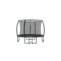 Green Songmics 10ft trampoline with safety net enclosure and ladder
