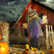 Pumpkin scarecrow decoration displayed in a barn and pumpkin patch Halloween scene