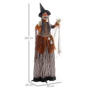 Dimension diagram of the fat-faced witch showing 183cm height, 18cm and 60cm base