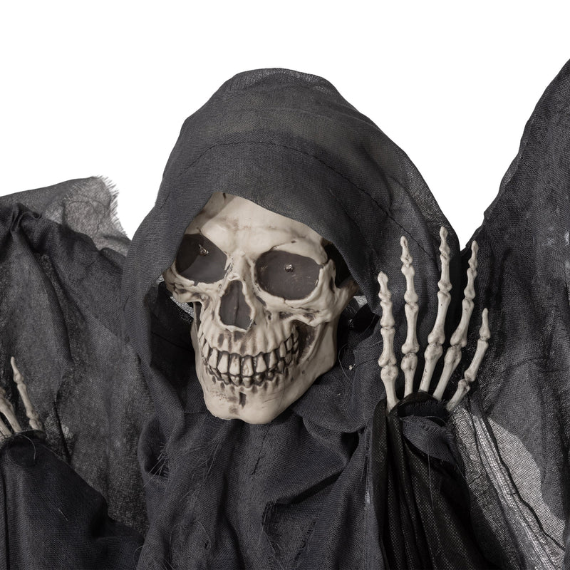 Close-up of the winged grim reaper's skull face and hood
