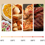 Food temperature guide showing dried fruit, bread, pizza and steak across the 60-230°C range