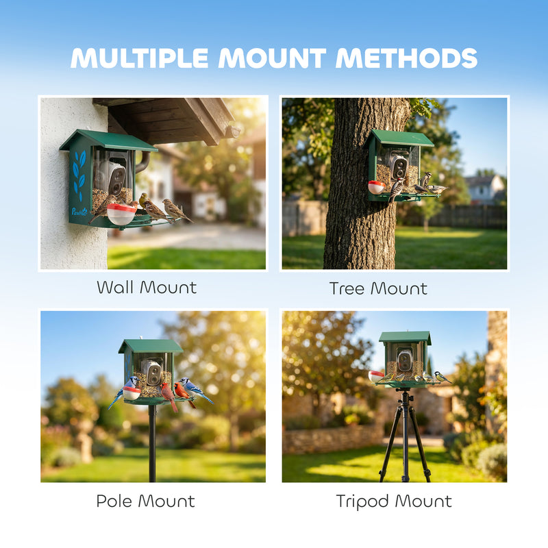 Smart Bird Feeder Camera with 2K HD Video and AI Species Recognition App Alerts Grey AOSOM