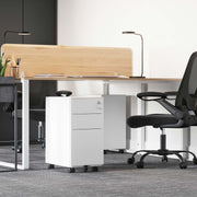White file cabinet tucked under a shared office desk beside a black mesh office chair