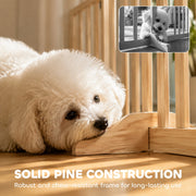 Close-up of the solid pine frame with a puppy resting against the chew-resistant wood