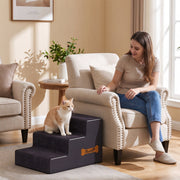 Cat on the stairs beside an armchair while a woman sits nearby