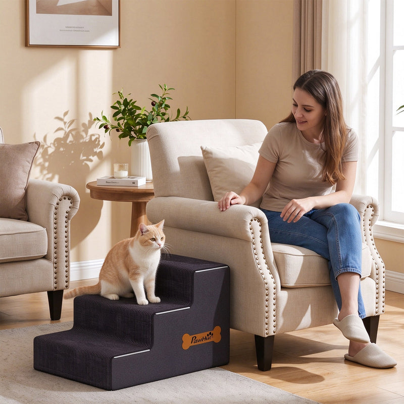 Cat on the stairs beside an armchair while a woman sits nearby