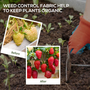 Heavy Duty Weed Control Membrane 2m x 100m For Driveways Lawns And Landscaping, Black