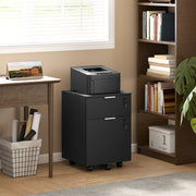 Lockable Two Drawer Filing Cabinet With Smooth Gliding Drawers For Office Use Black AOSOM