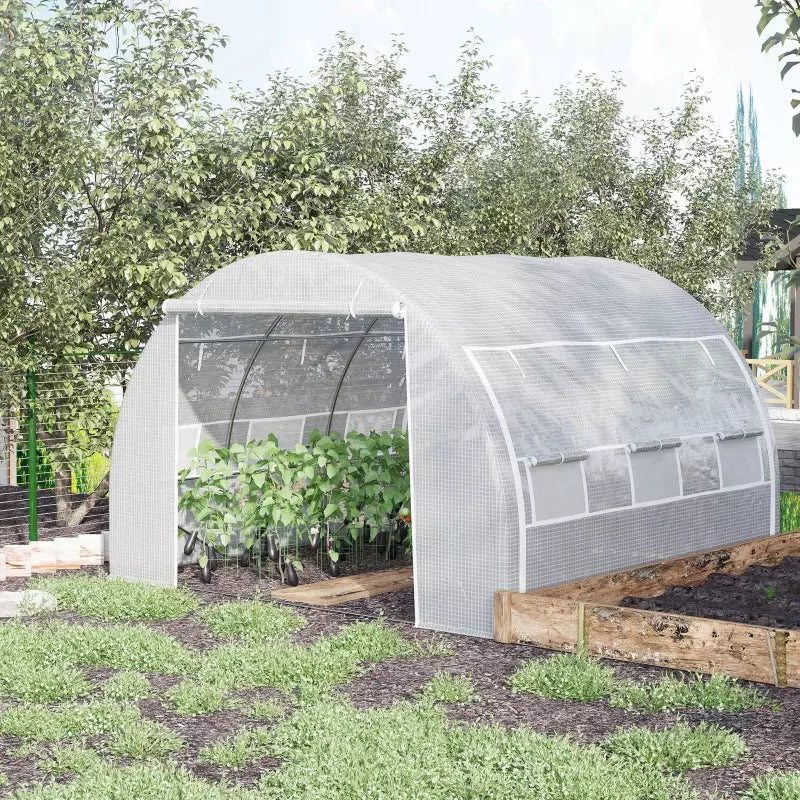 Walk In Polytunnel, Steel Frame, 3x3x2m, White