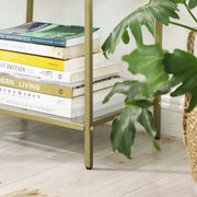 Stacked books resting on a glass shelf with a houseplant alongside