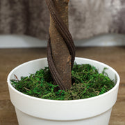 Set of Two Artificial Rose Trees Indoor Outdoor Decorative Plants Green by Outsunny