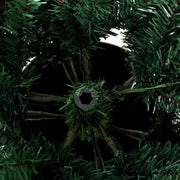 Close-up underneath the tree showing the central trunk and branch supports