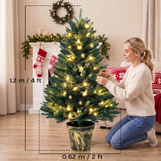 Woman decorating the tree with size labels showing 1.2 m (4ft) height and 0.62 m (2ft) width