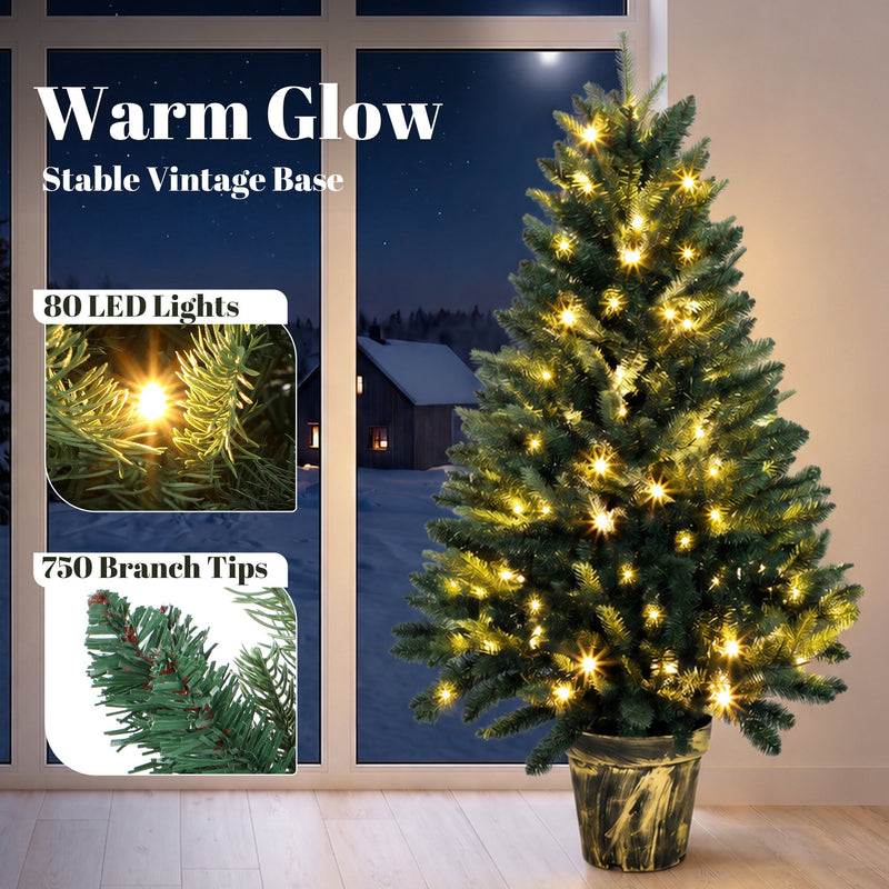 Lit tree by a night window with close-ups of the 80 LED lights and 750 branch tips
