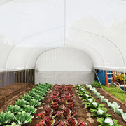 6x3x2m Walk in Polytunnel Greenhouse with PE Cover Mesh Door and Windows White by Outsunny