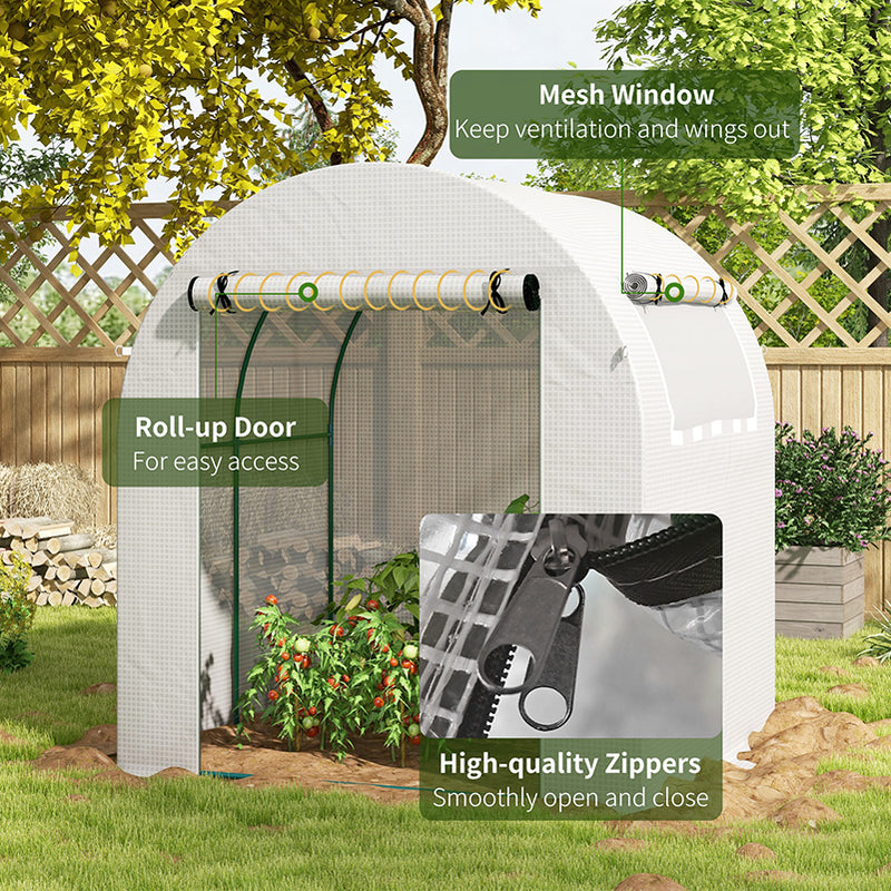 Walk In Polytunnel Greenhouse With Roll Up Door And Windows For Garden Growing White