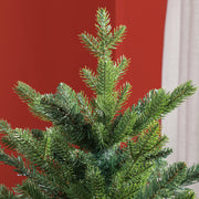Close-up of the top of the tree against a red wall