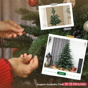 Hands shaping tree branches with before and after photos and a 10-15 minute setup time