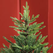 Close-up of the top of the tree against a red wall