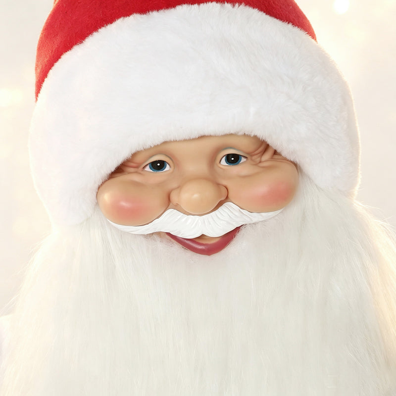 Close-up of Santa's face with white beard and fur-trimmed hat
