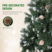 Close-up of pine cones on the branches with a 41 pine cones callout