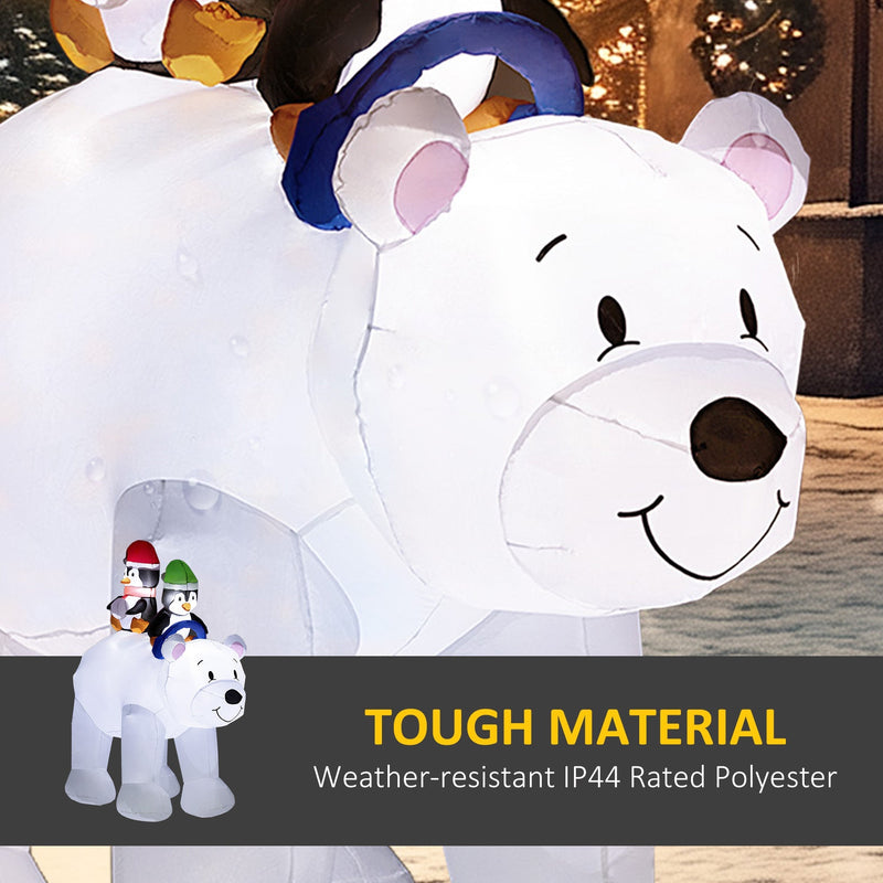 Close-up of the polar bear's face and blue ring with a tough material caption