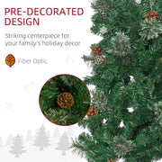 Close-up of pine cones and green branch tips on the pencil tree