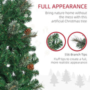 Close-up of two branch tip styles and pine cones, with 556 branch tips noted