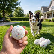 Hand holding a dog ball in a garden while a collie runs over carrying another