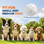 Five breeds each holding a ball, with the ball size marked as 5.8 cm