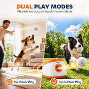 Split image of indoor hand-thrown fetch and outdoor play using a ball launcher