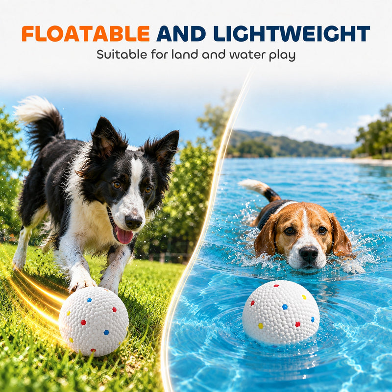 Collie chasing a ball on grass beside a beagle swimming to a floating ball
