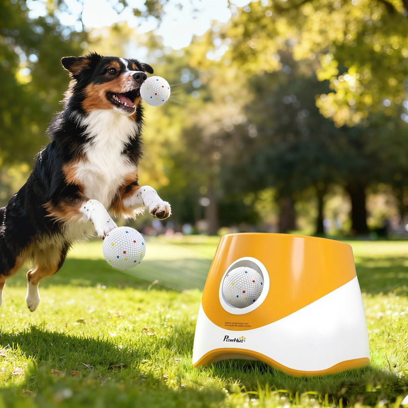 Dog leaping to catch a ball fired from an automatic launcher in a park