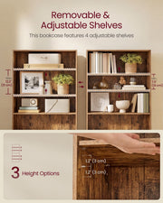 Diagram showing the unit's 4 adjustable shelves and 3 height spacing options between 19 cm and 31 cm