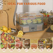 5 Tier Stainless Steel Food Dehydrator with Timer and LCD for Fruit and Jerky Grey